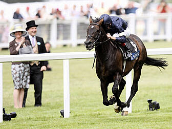 Who to look out for at Royal A...